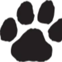 Rising Starr Middle School Logo