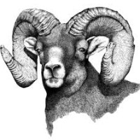 SOROCO Middle School Logo
