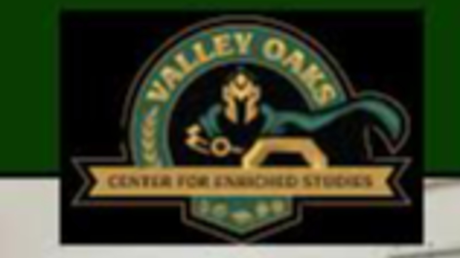 Valley Oaks Center for Enriched Studies Magnet VOCES Photo