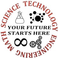 Mistletoe STEM Institute Logo